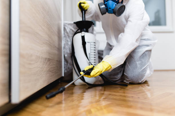 Flea Control Services in Bayville, NY
