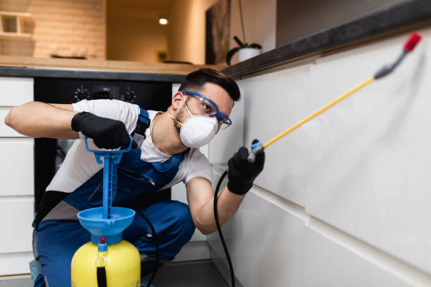 Best Residential Pest Control  in Bayville, NY