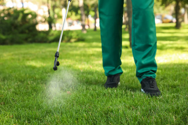Best Best Pest Control Companies  in Bayville, NY