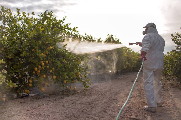 Bayville, NY Pest Control Company