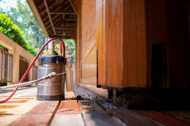 Best Pest Prevention Services  in Bayville, NY