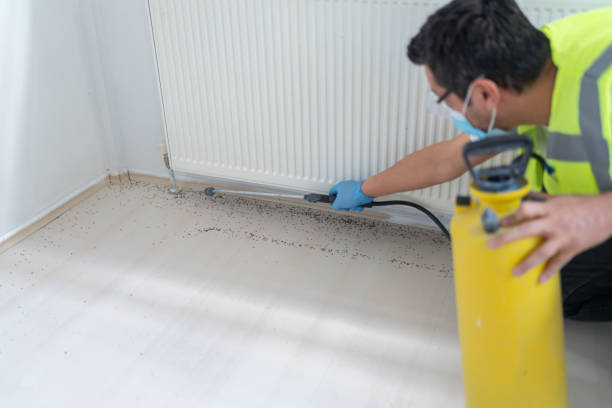 Best Cockroach Control Services  in Bayville, NY