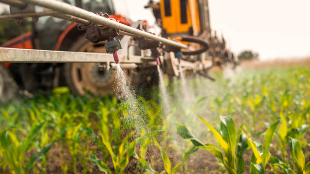 Best Pest Control for Businesses  in Bayville, NY