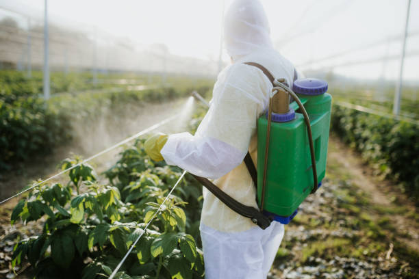 Best Commercial Pest Control Services  in Bayville, NY